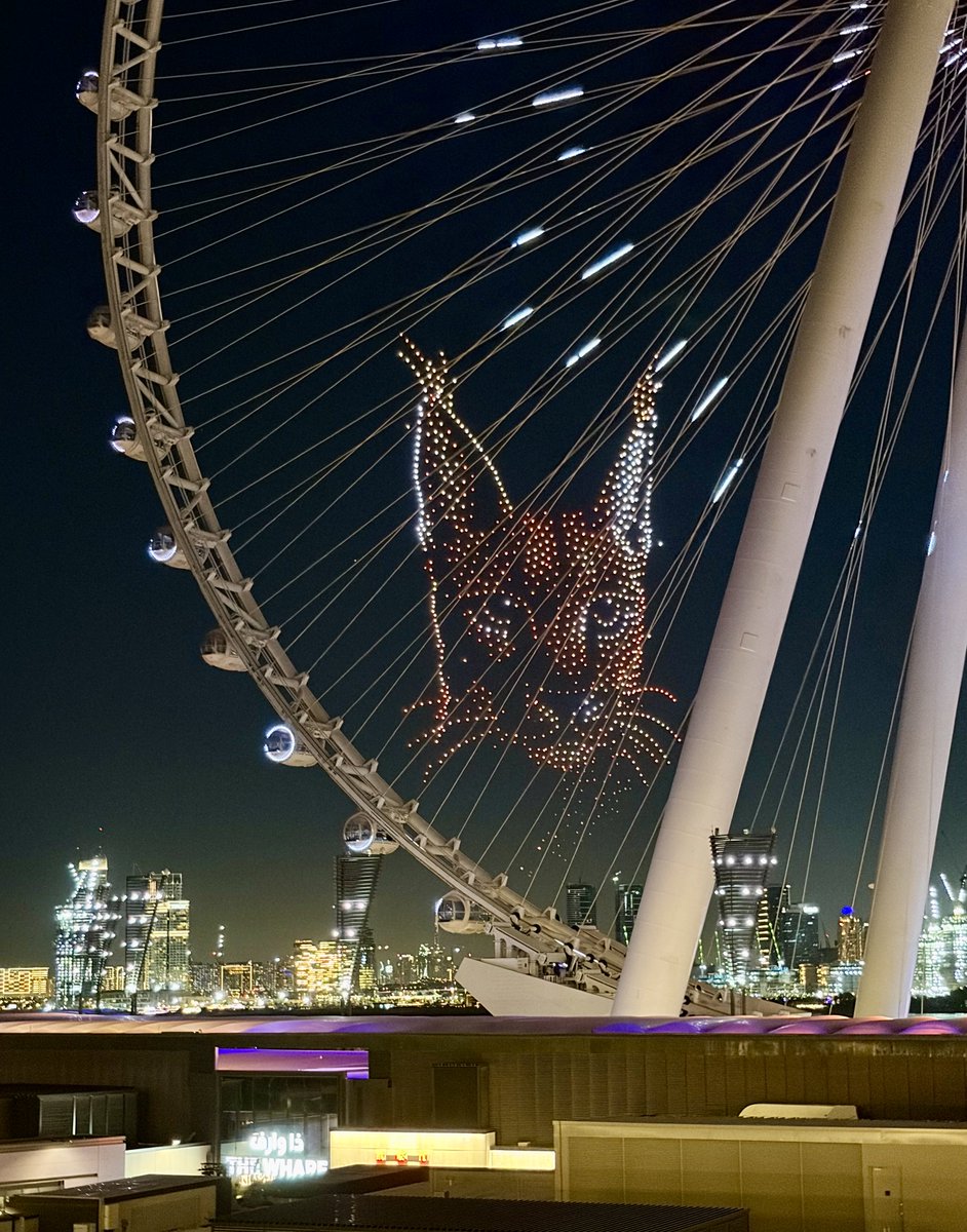 DevNull2020's tweet image. 