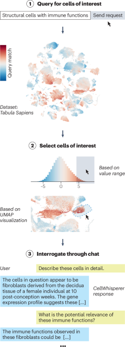 New online! Let the data speak — single-cell analysis with CellWhisperer bit.ly/49zgetP