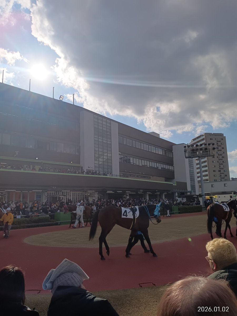 シシマル🐟️ (@G9a0vTz3PPsDWlJ) / Posts / X