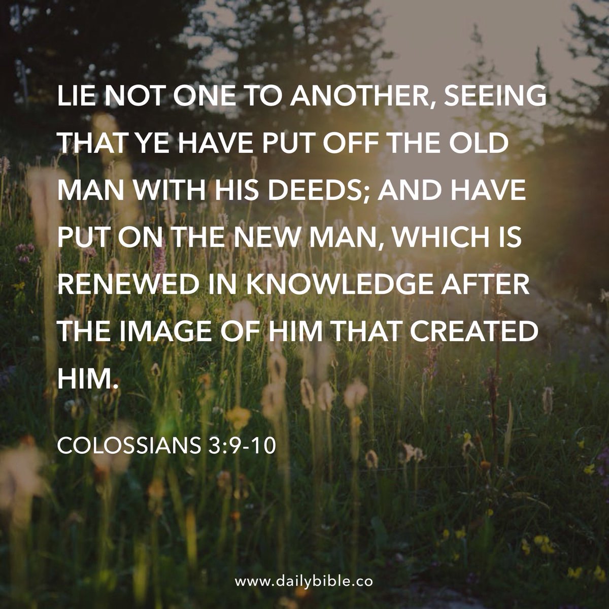 WVBalrog's tweet image. 