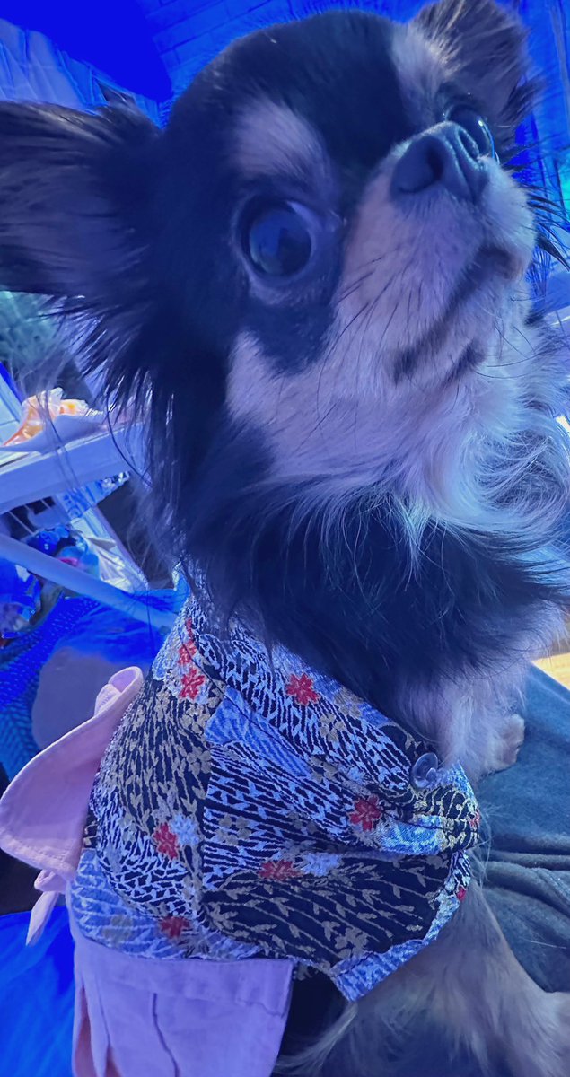 今年も感動をありがとう！
襷を渡す瞬間の感動
今年も5区の奇跡！
#箱根駅伝