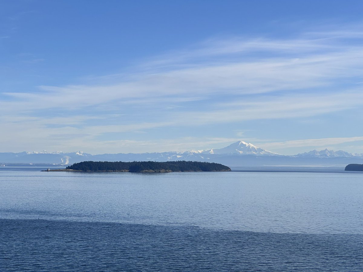 dbwillows's tweet image. Stunning NYE morning once the fog cleared!