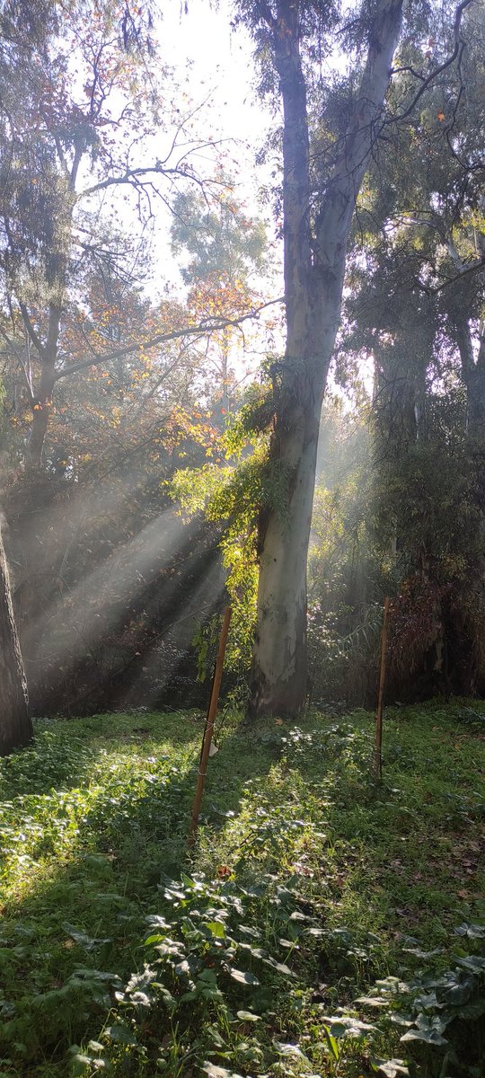 Be_kindtopeople's tweet image. Στιγμή ευτυχίας📷☀️ 
Friday moment