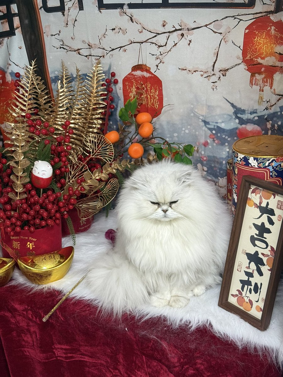 是溪溪不是嘻嘻 tweet media