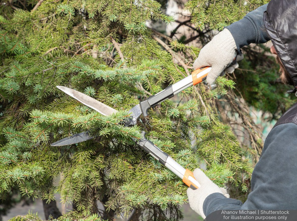 BFM News tweet media