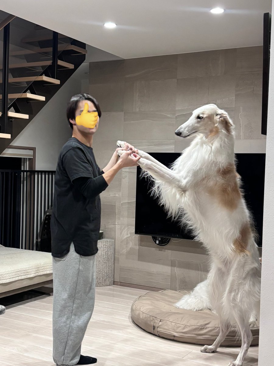 Massan (@Massan318_) / Posts / X