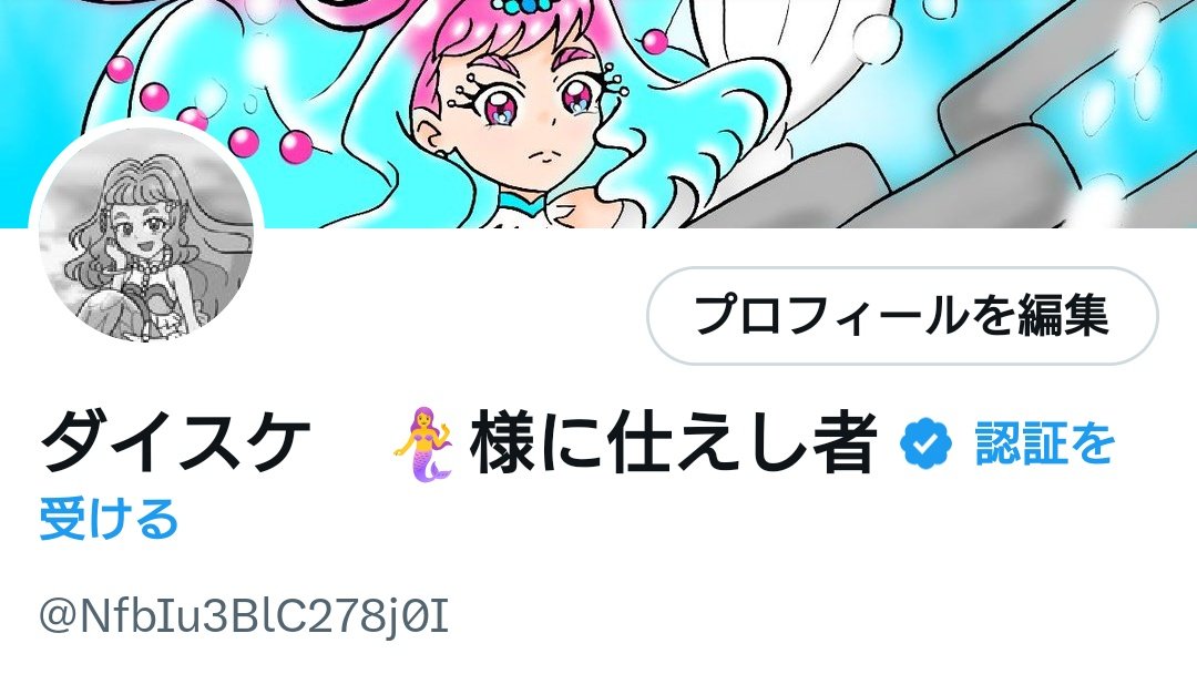 後は固定プロフィールをどうするかだ…