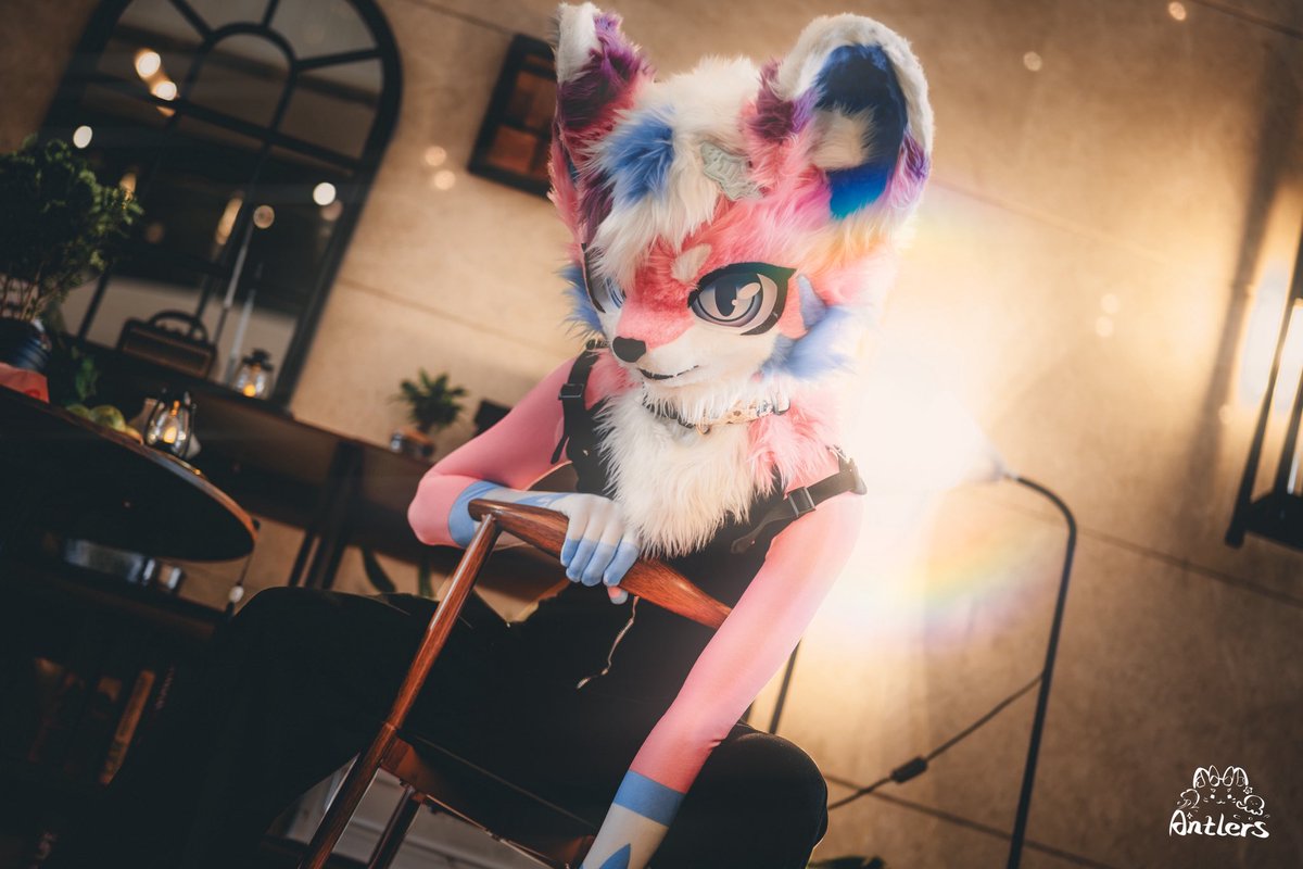 洛伊_Avery tweet media