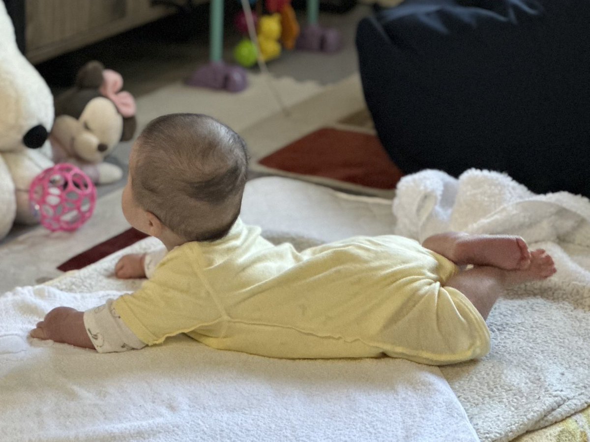 osushing's tweet image. 箱根駅伝を見る我が子は
早稲田を応援してました( ˙꒳​˙  )