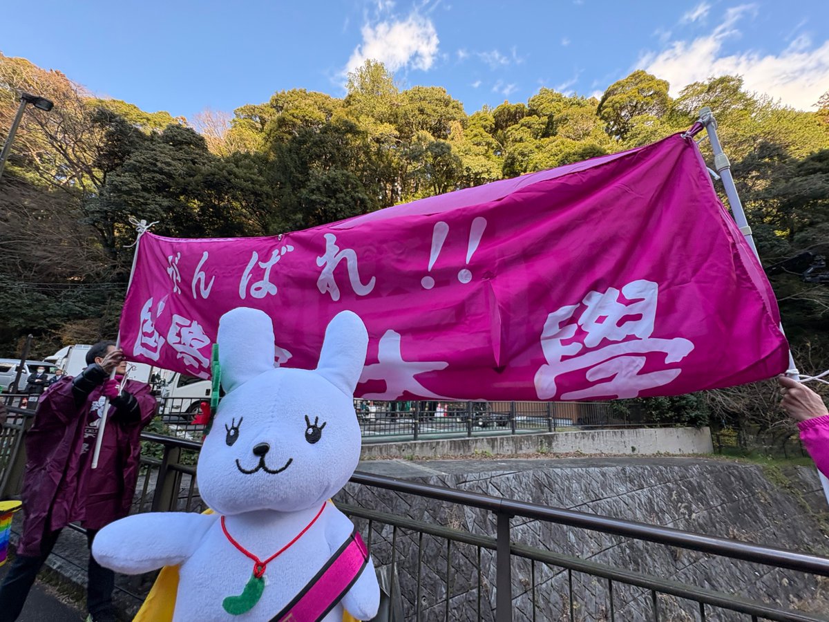 箱根駅伝、往路は4位でゴールしたぴょん！朝早くから応援してくれたみなさんありがとうございましたぴょん！明日もこくぴょんと國學院大學を応援して欲しいぴょん！よろしくお願いしますぴょん！
#國學院大学 #箱根駅伝 #箱根駅伝️2026