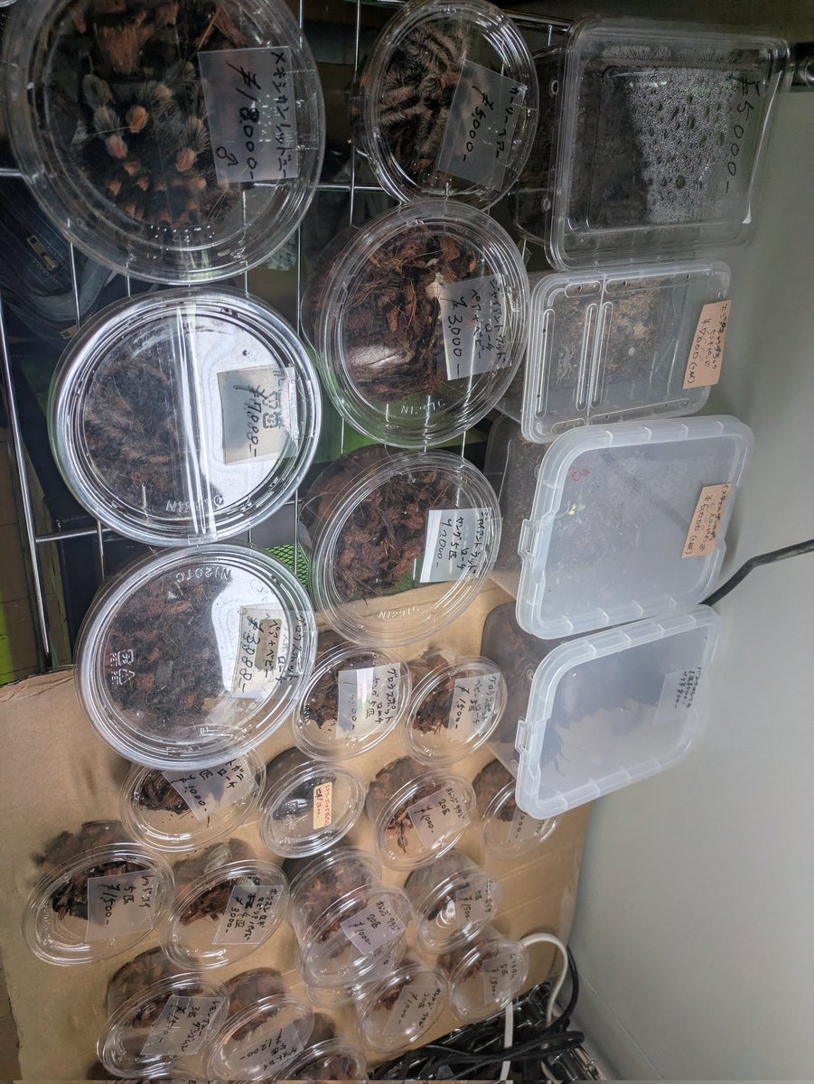 ももれおんページ ももれおん😺 (@momoleon2357) / Posts / X