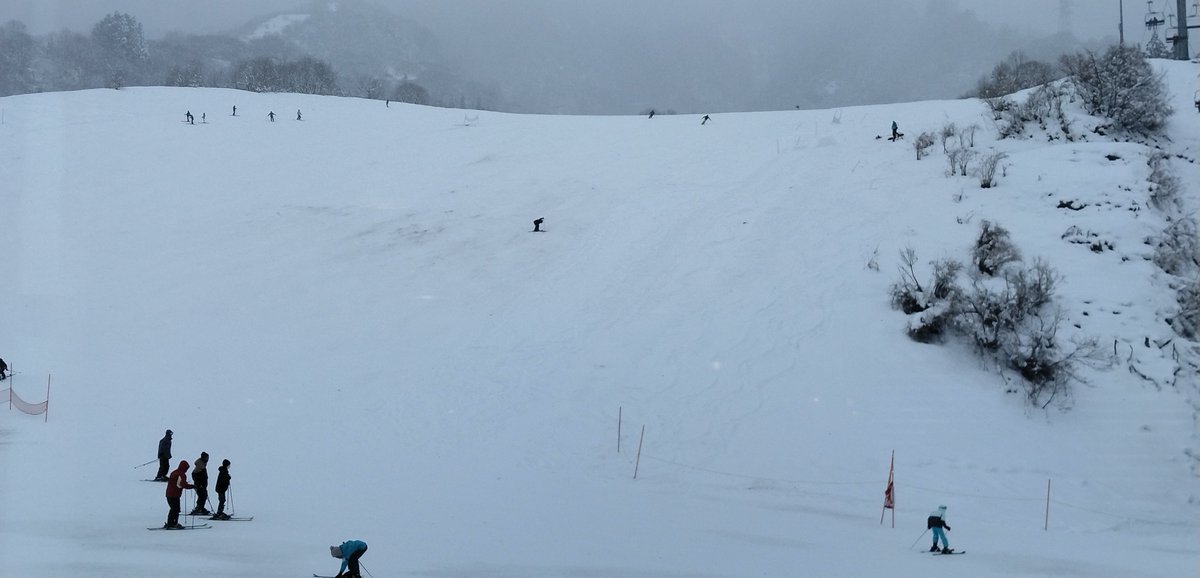 ナスパ。いいかげん降ってるだろうと思ったが、まだ土ぽいところある。ぐぬぬ