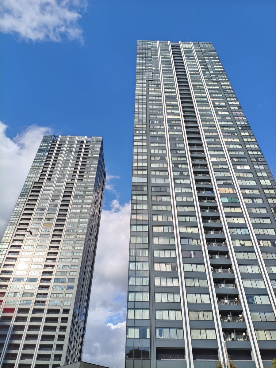 こぺる (@coperu100) / Posts / X