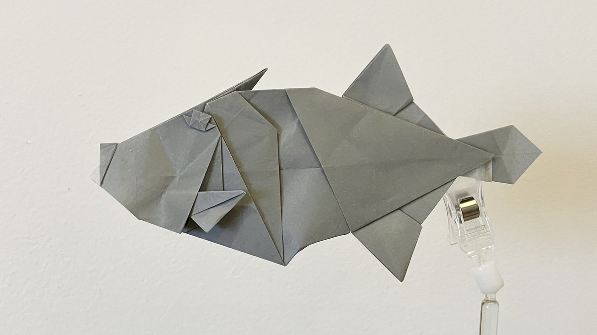 ウマヅラハギ折りました。
あけましておめでとうございます。