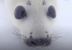 777gprotein's tweet image. 