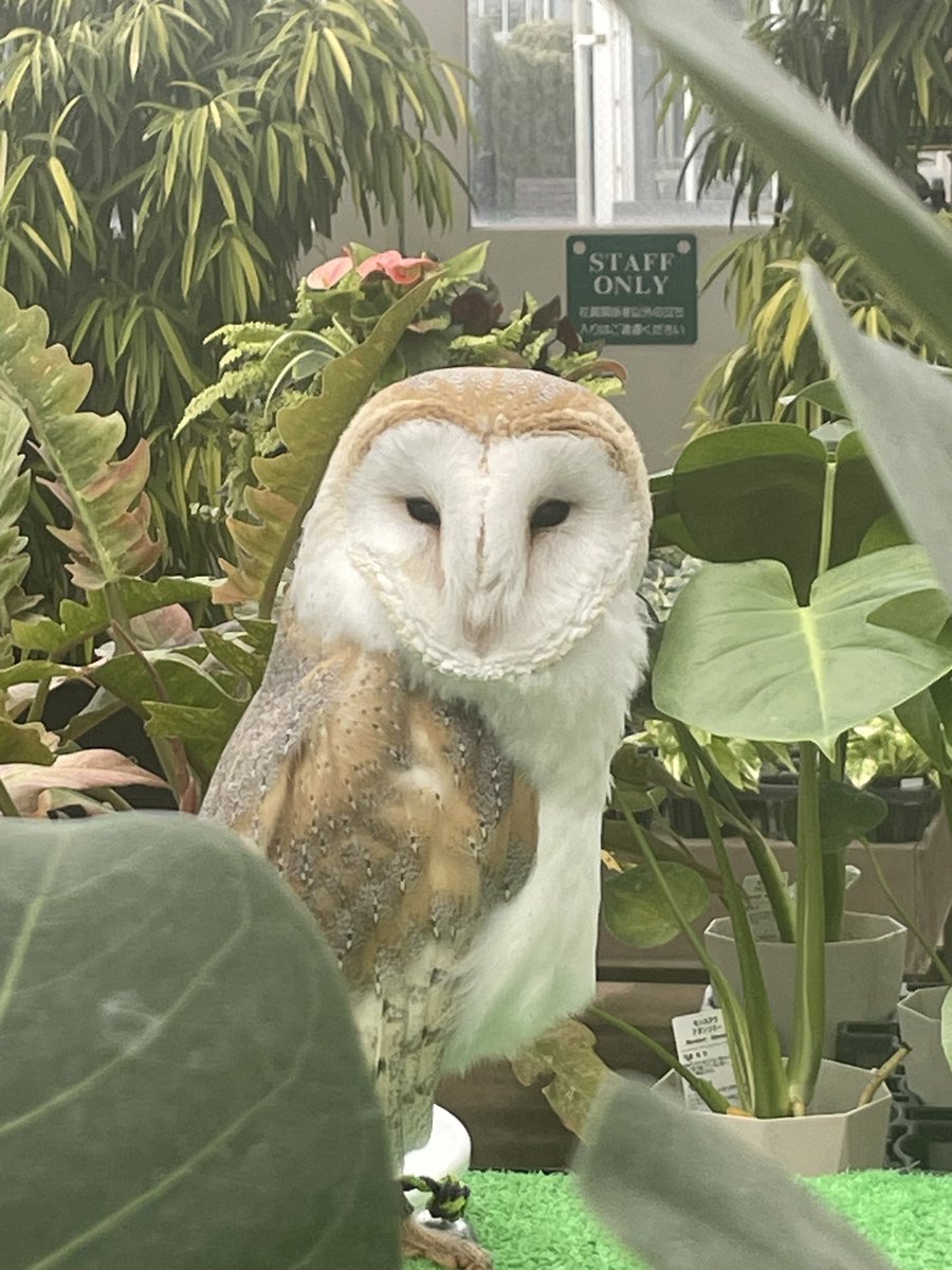 今年初のふくちゃん！
