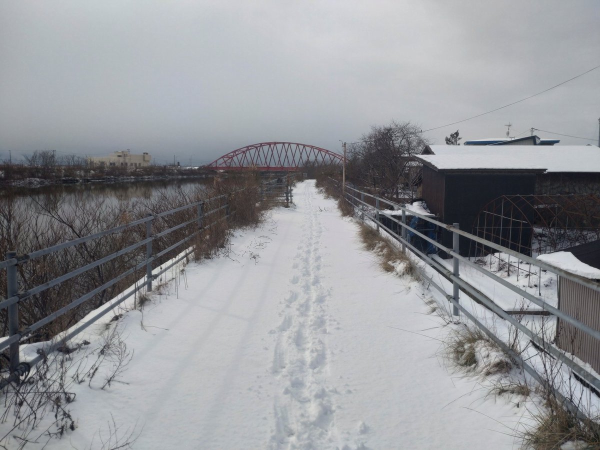 ItnRq81IbzKVnr8's tweet image. 八郎潟町内お散歩🚶🚶🚶