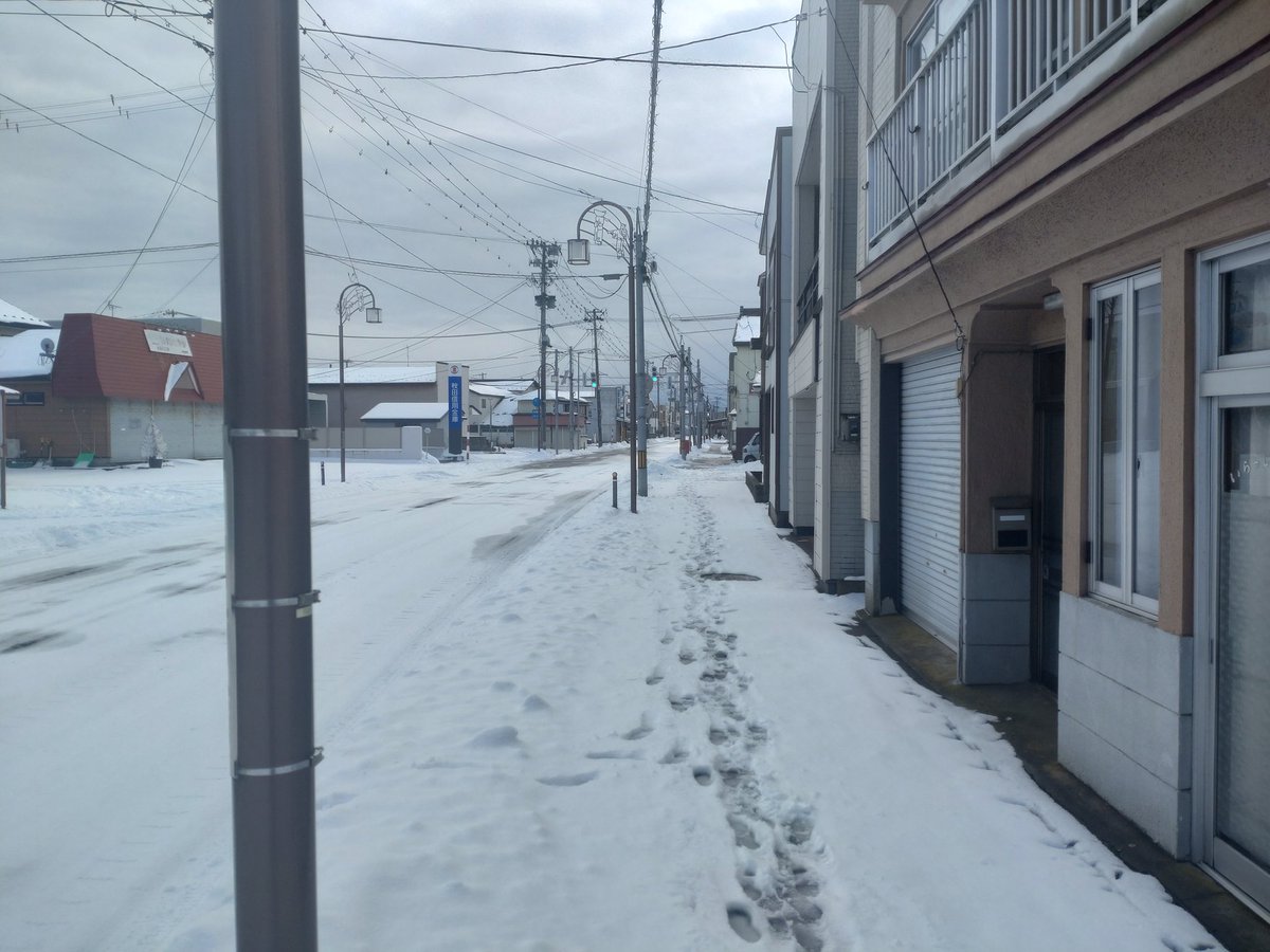 ItnRq81IbzKVnr8's tweet image. 八郎潟町内お散歩🚶🚶🚶