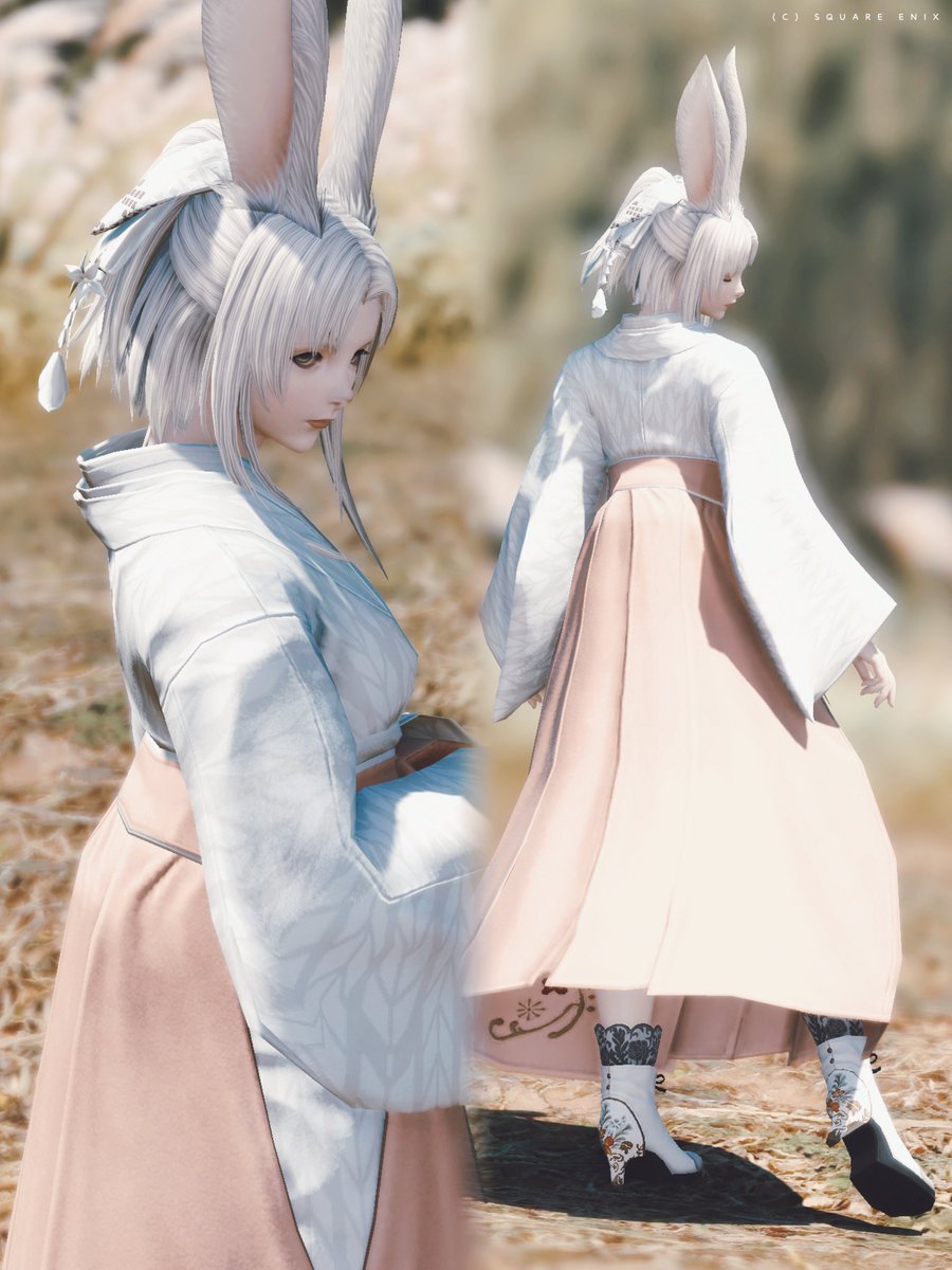 ꒰ა ラウラ⋆ キラキラ ໒꒱ 新年のSSは白うさぎカラーで六根山のススキのところで撮ったら