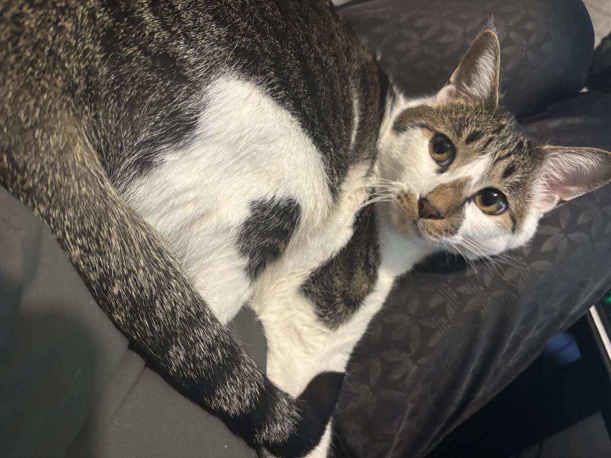 流石 兄者 (@anijan0716) / Posts / X