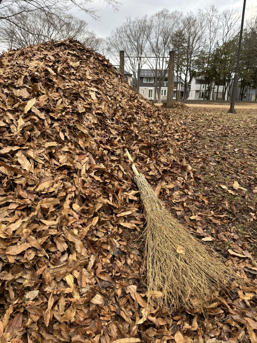 area014's tweet photo. やる事なさすぎて朝から裏の公園の枯れ葉掃除やったわ。たぶんみんなが想像してる1億倍くらいやっとる🤣この枯れ葉山5個くらい作ったもん🤣🤣🤣 https://t.co/GfBDv625qx