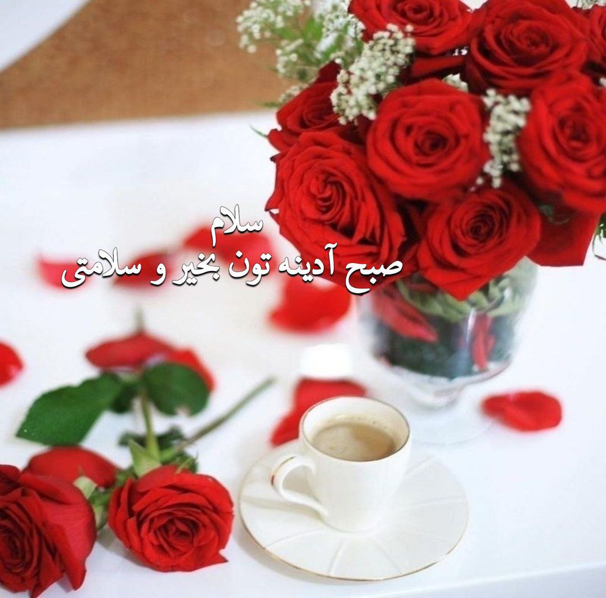 ali (@sarzaminman1011) on X, image size:1200x1185