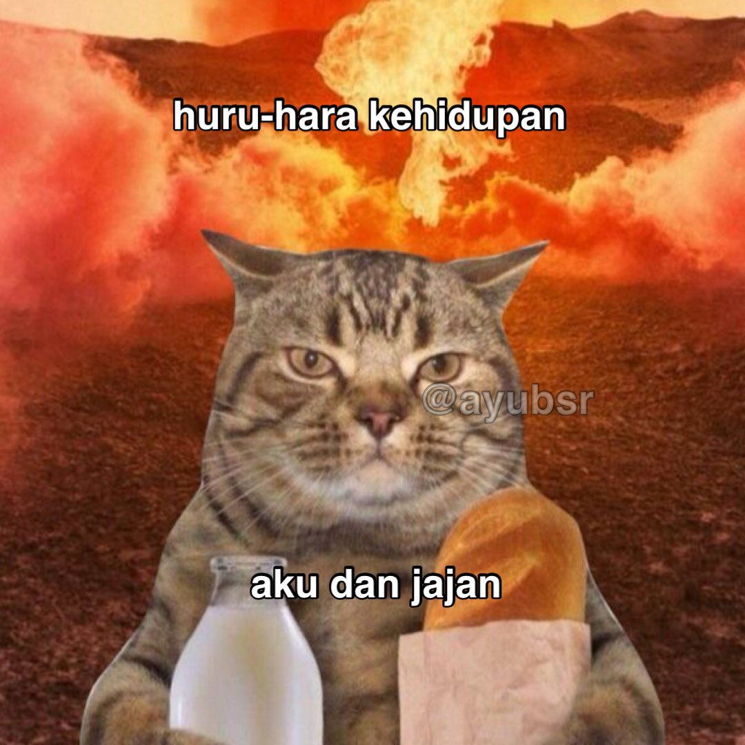 ayubsr's tweet image. 