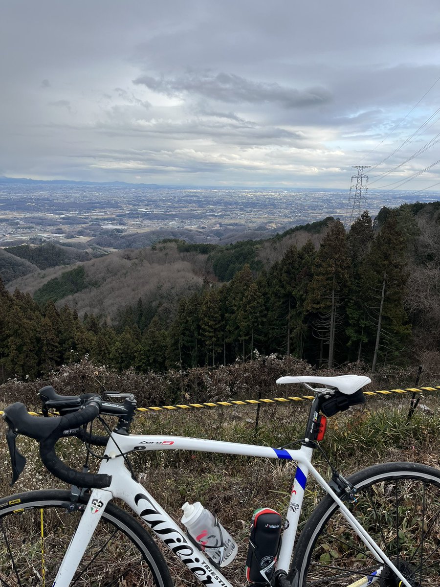 たまたま (@purine__) / Posts / X