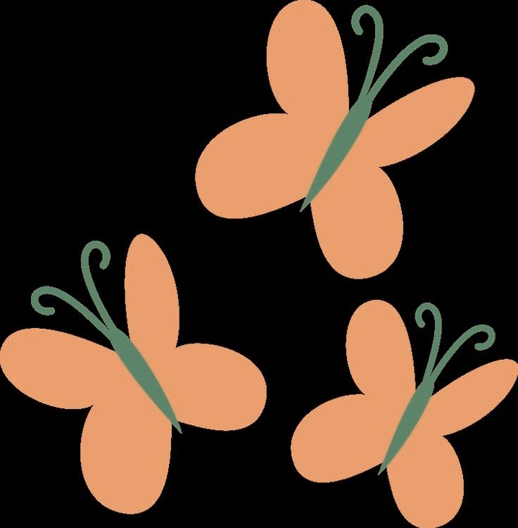 🦋𝙵𝚕𝚞𝚝𝚝𝚎𝚛𝚜𝚑𝚢🦋 tweet media