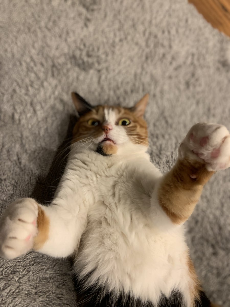 かずまページ ｶｽﾞﾏ (@kzz_cl) / Posts / X