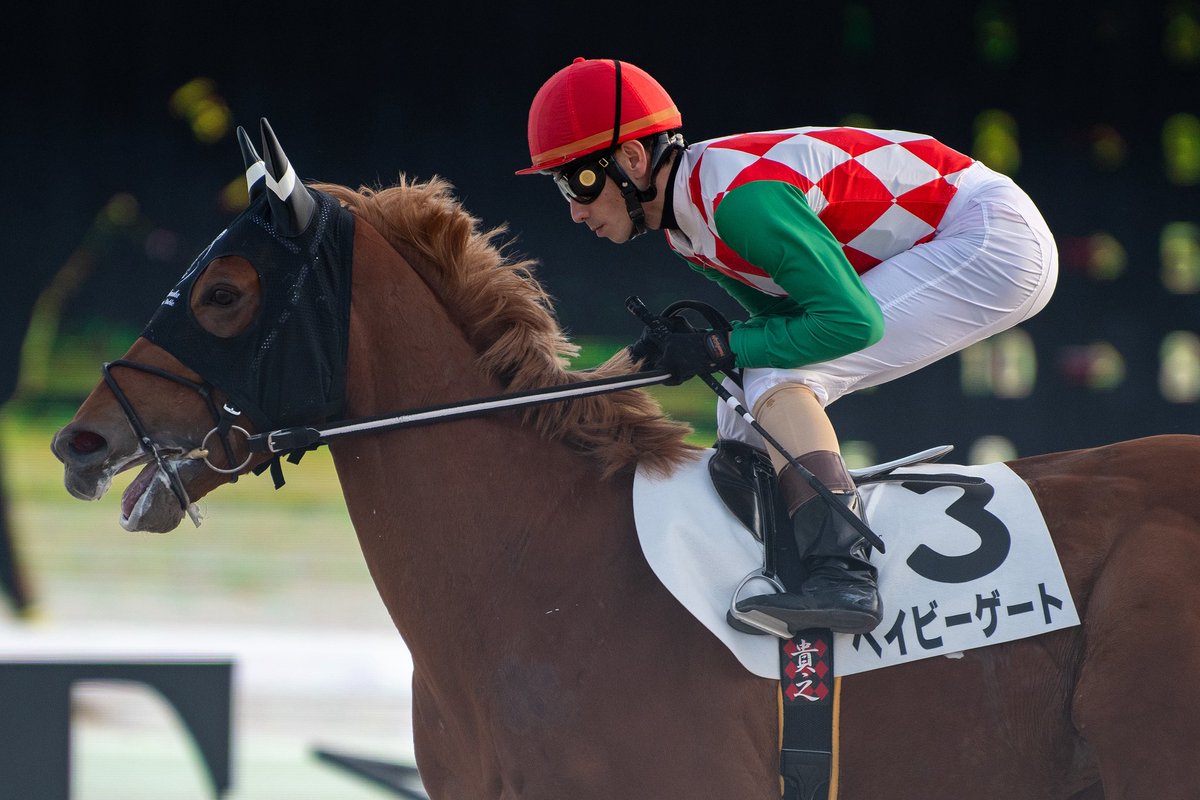 2025.12.31 大井9R #ベイビーゲート ㊗️×矢野貴之 騎手