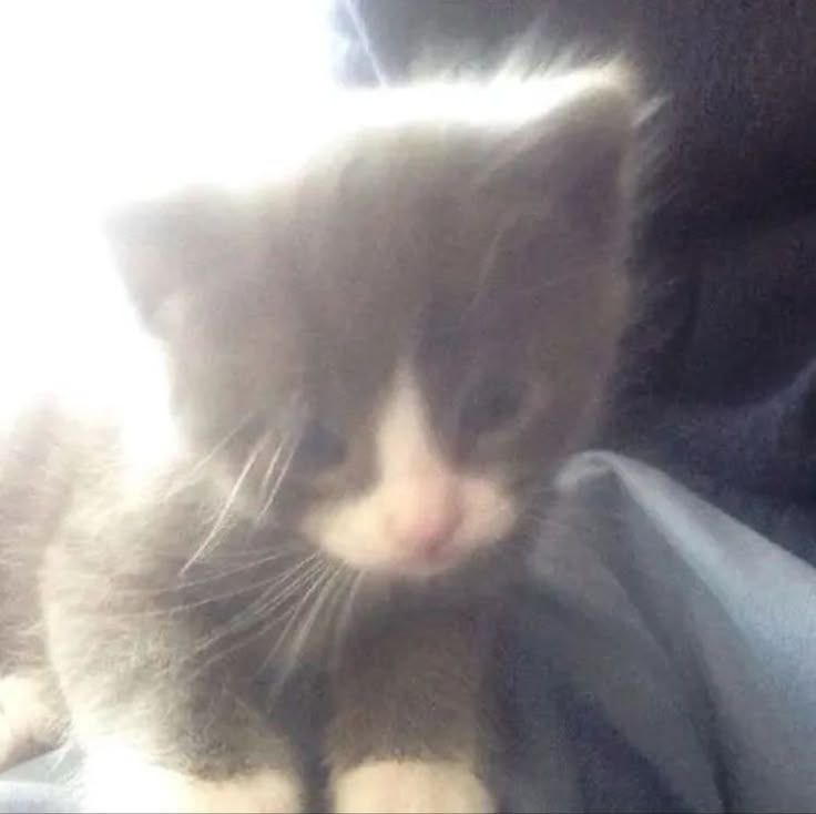 👋バイバイね👋