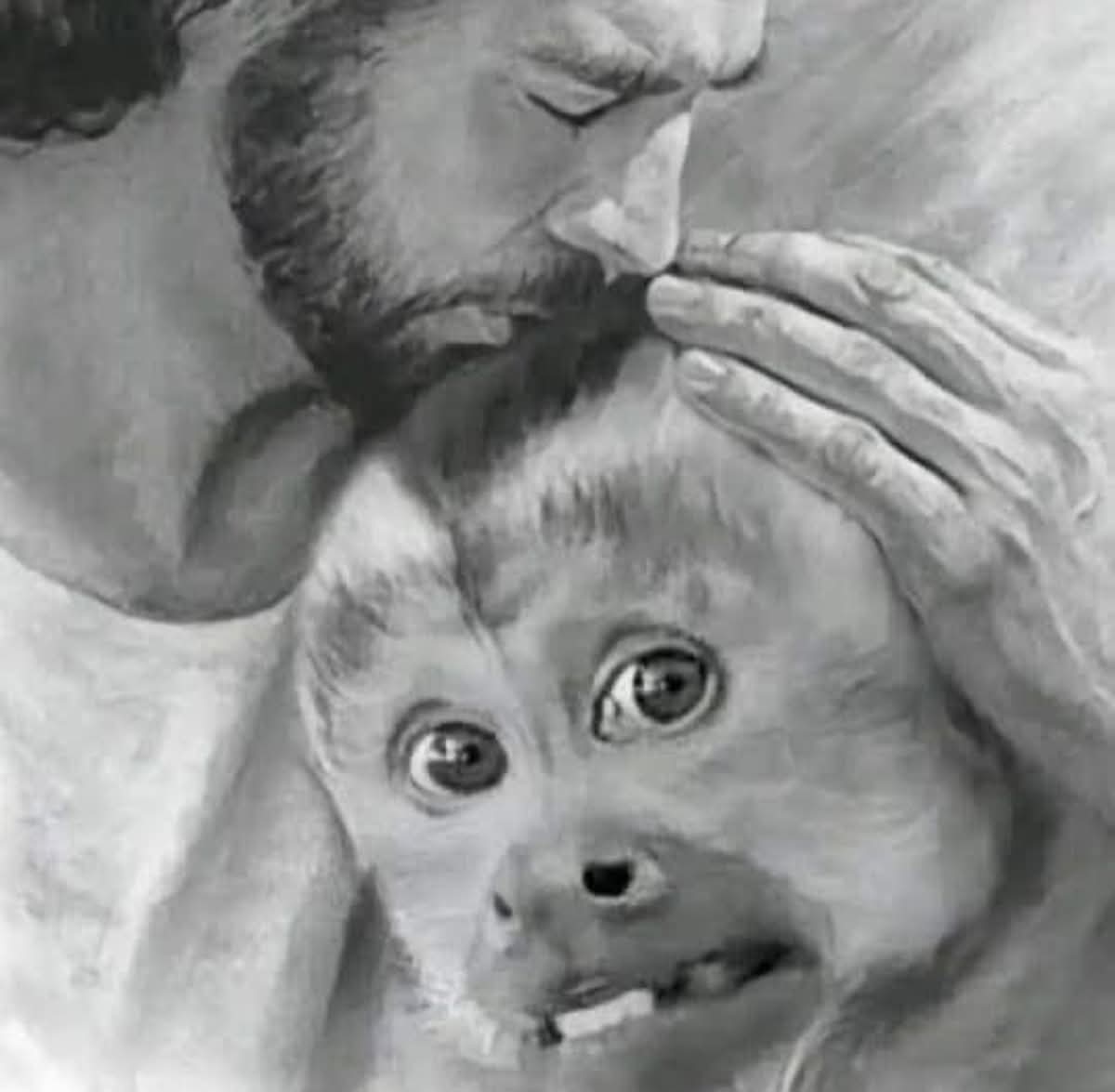 B0RRACHIT0's tweet image. Diosito eligiéndome como uno de sus mejores guerreros 2026... 🥺😭