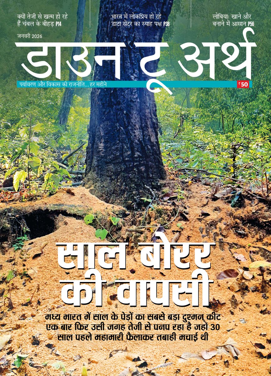 Down To Earth Hindi tweet media