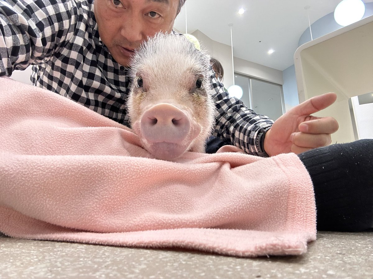 ぶぅ〜ちゃん (@buuhchan) / Posts / X