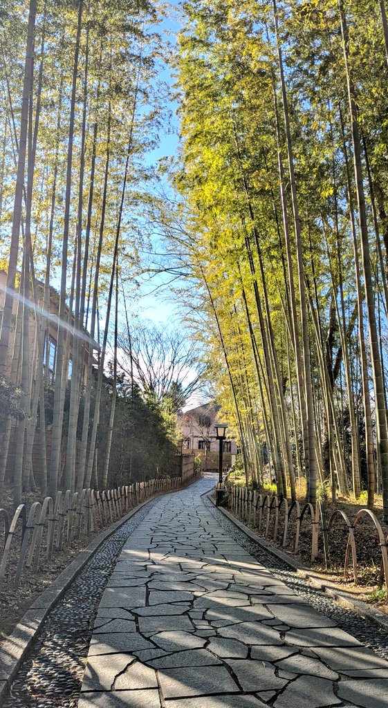 修善寺で優勝ですわ〜