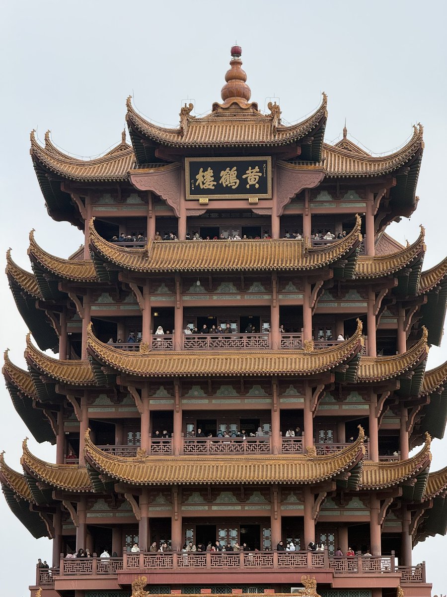 Thom Fang tweet media