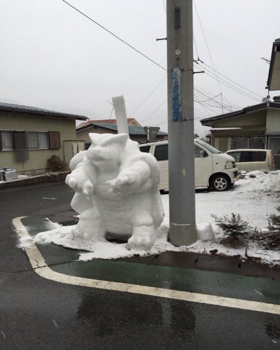 やせいのカメックスいて草