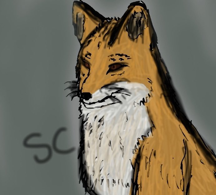 SamGoji's tweet image. First art of 2026 is Dromgoji (ofc) and a simple fox 

#Fangoji