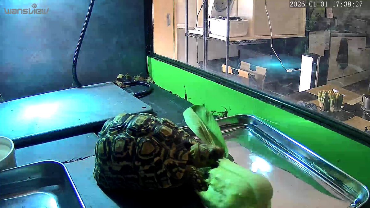 Dxxth Adder tweet media