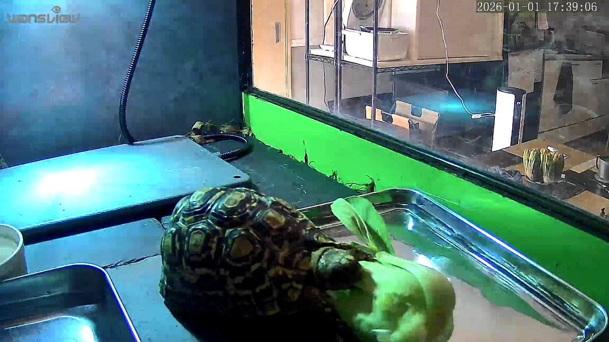 Dxxth Adder tweet media