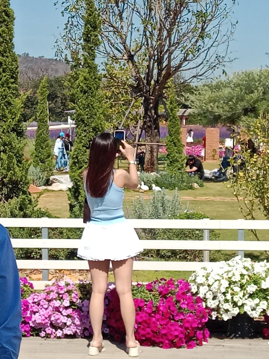 สาวปากช่องมีไหมคับ 😆😆😄😋
#ปากช่อง
#เขาใหญ่