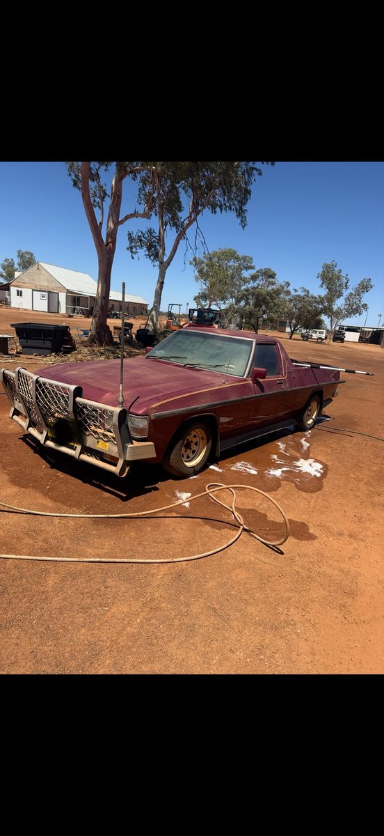 Jorgen Jensen tweet media