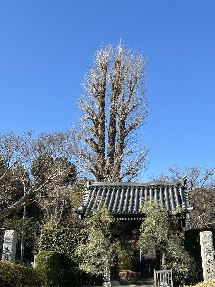 Jimin1Best's tweet photo. 箱根駅伝で

青学が往路のゴ－ルを

決めたのを見届けてから

地元の氏神様と菩提寺に

初詣⛩🙏

常香炉の線香の煙を浴びて

体の悪いところ👁の回復願う

健康で幸せな一年に

なりますように💕

#初詣
#イマソラ
#横浜 https://t.co/pP4nhcVkna