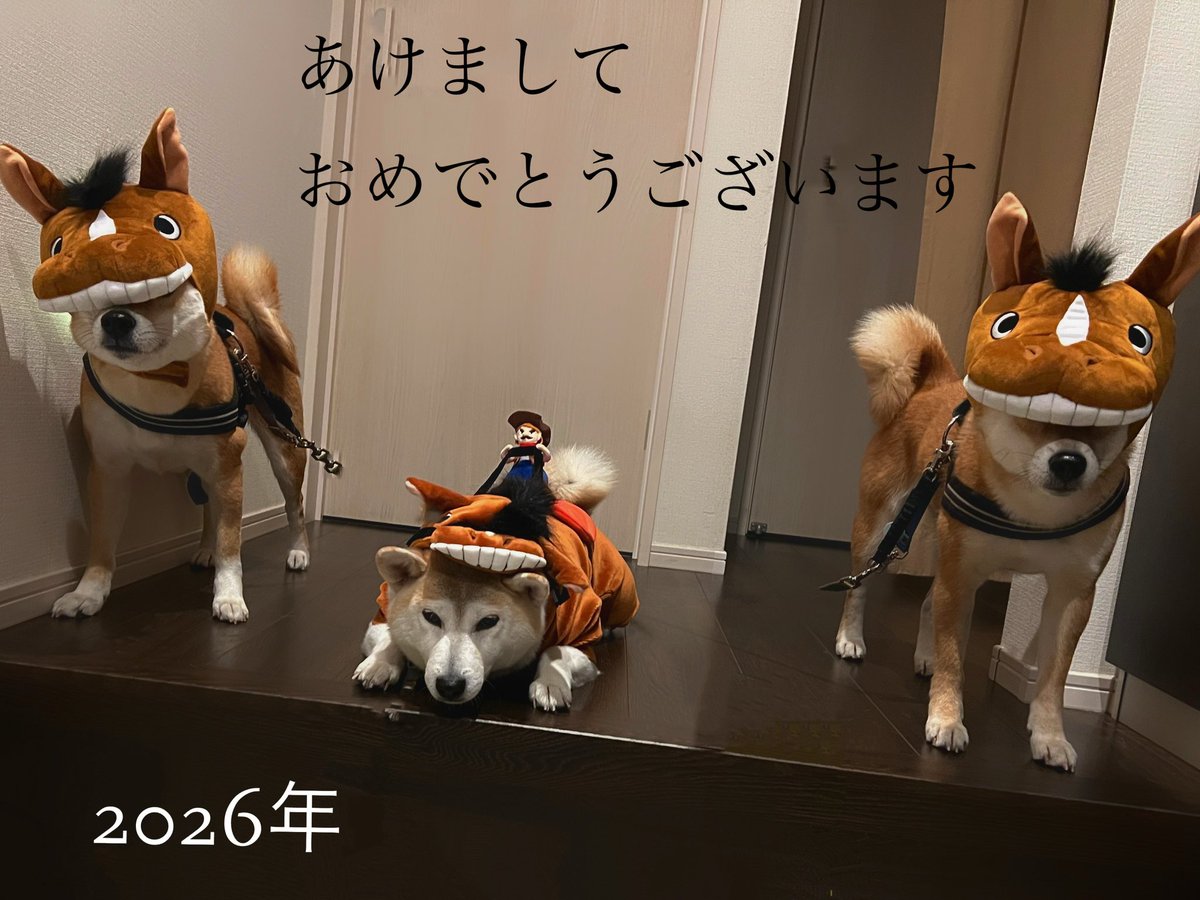 ASA_since2010's tweet photo. 謹賀新年🎍

昨年は格別のご厚情を賜り、誠にありがとうございました。皆様のおかげで、今年も無事に新しい年を迎える事が出来ました。2026年もどうぞ宜しくお願い致します。

【休診情報2026年1月】

1日〜5日　年始休診

15日・16日　休診

19日〜27日　合宿帯同

※今月のワンコ
いよいよかぶり物 https://t.co/Thp17StDd3