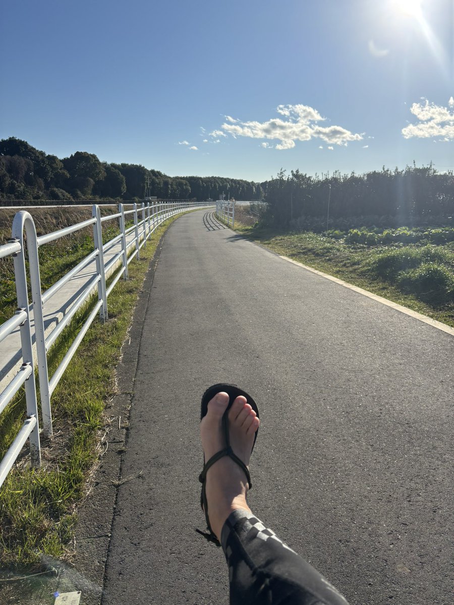 明日も箱根駅伝楽しみ😊

おさんぽ🐾