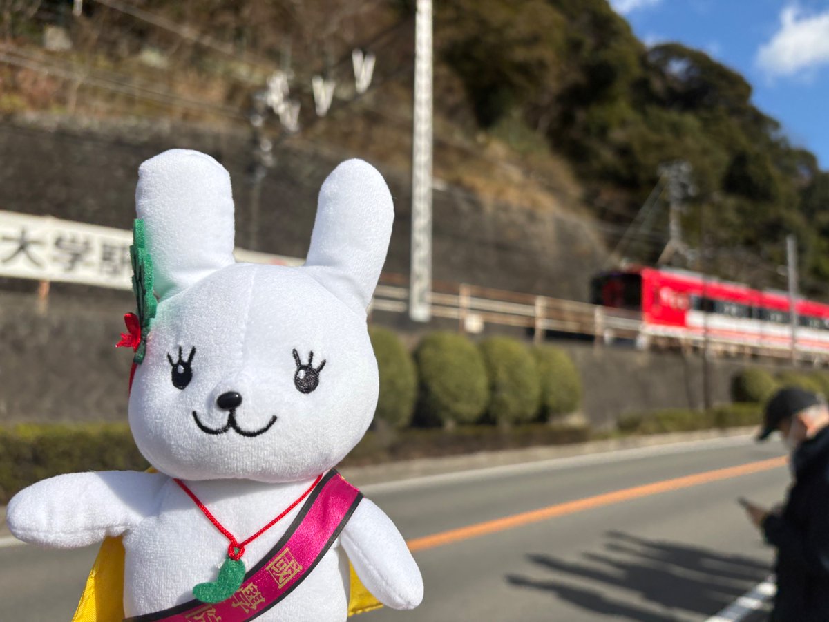 沿道でこくぴょんを見かけたら教えてほしいぴょん|ω•,,)💫
#國學院大学 #こくぴょん #箱根駅伝️ #箱根駅伝2026