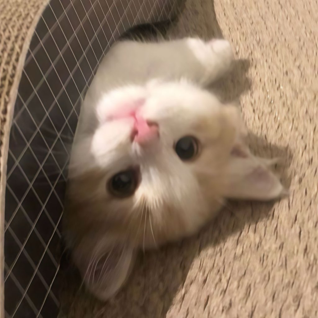 blessmebape's tweet image. 