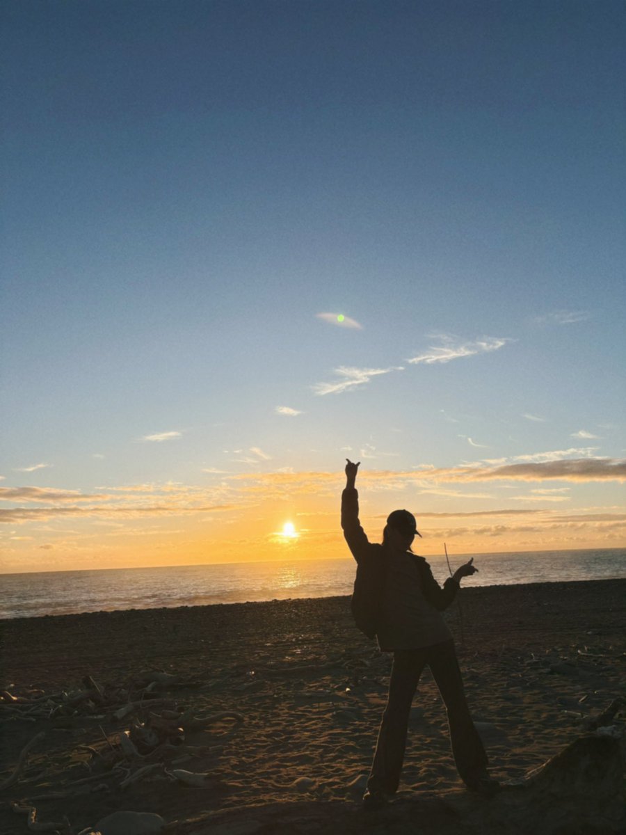 女明星 tweet media