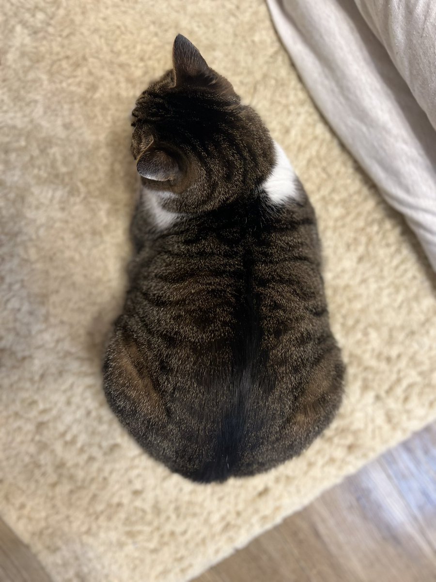 あきなり tweet media